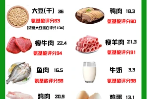 高蛋白饮食对篮球运动员的重要性及最佳实践策略